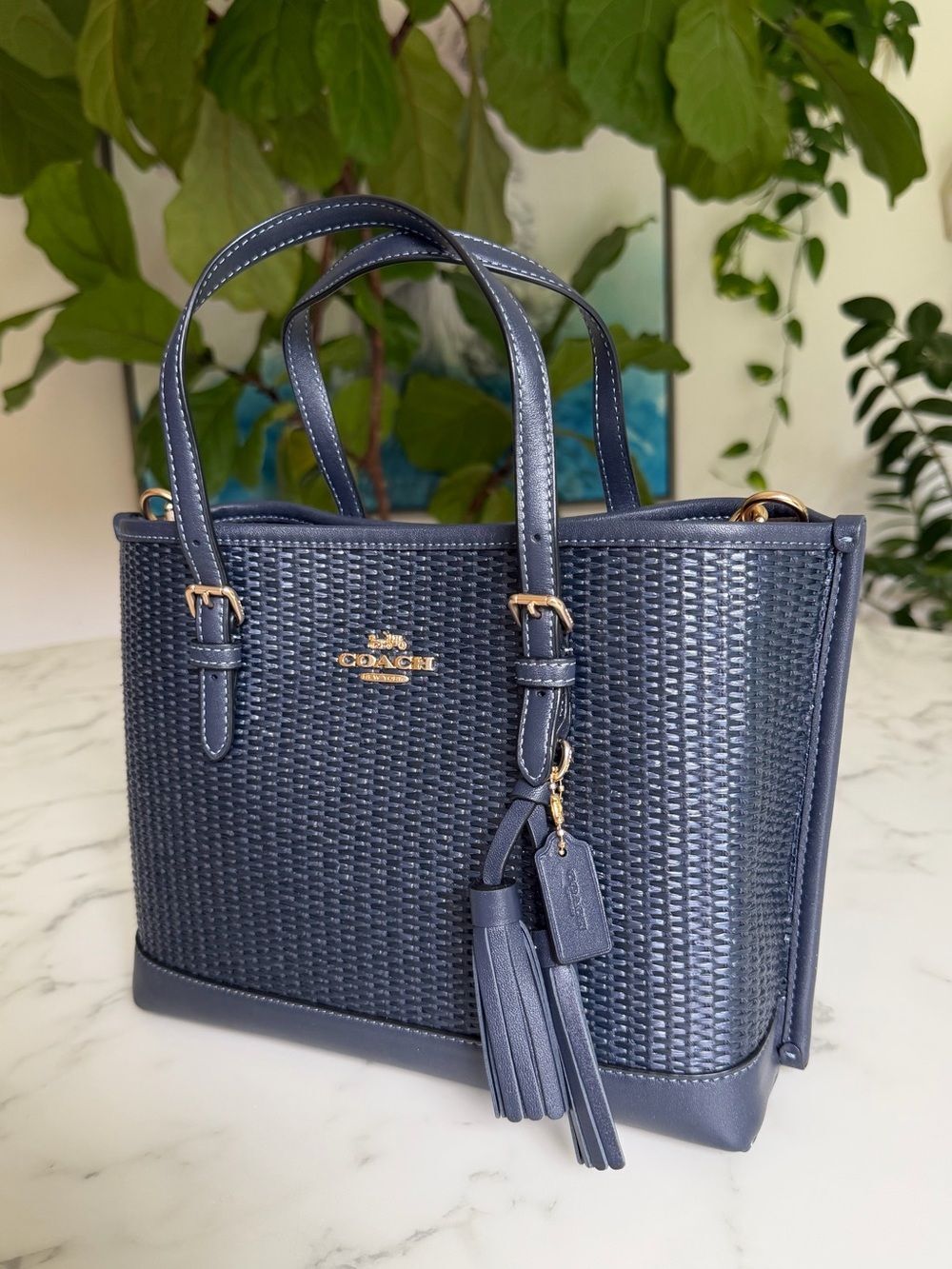 NWT Coach CH210 Mollie Tote 25 in Straw & Smooth Leather Midnight Navy Multi - Picture 3 of 16